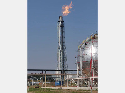 徐州龍興泰-高架火炬